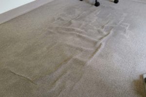 Service Carpet Rippling